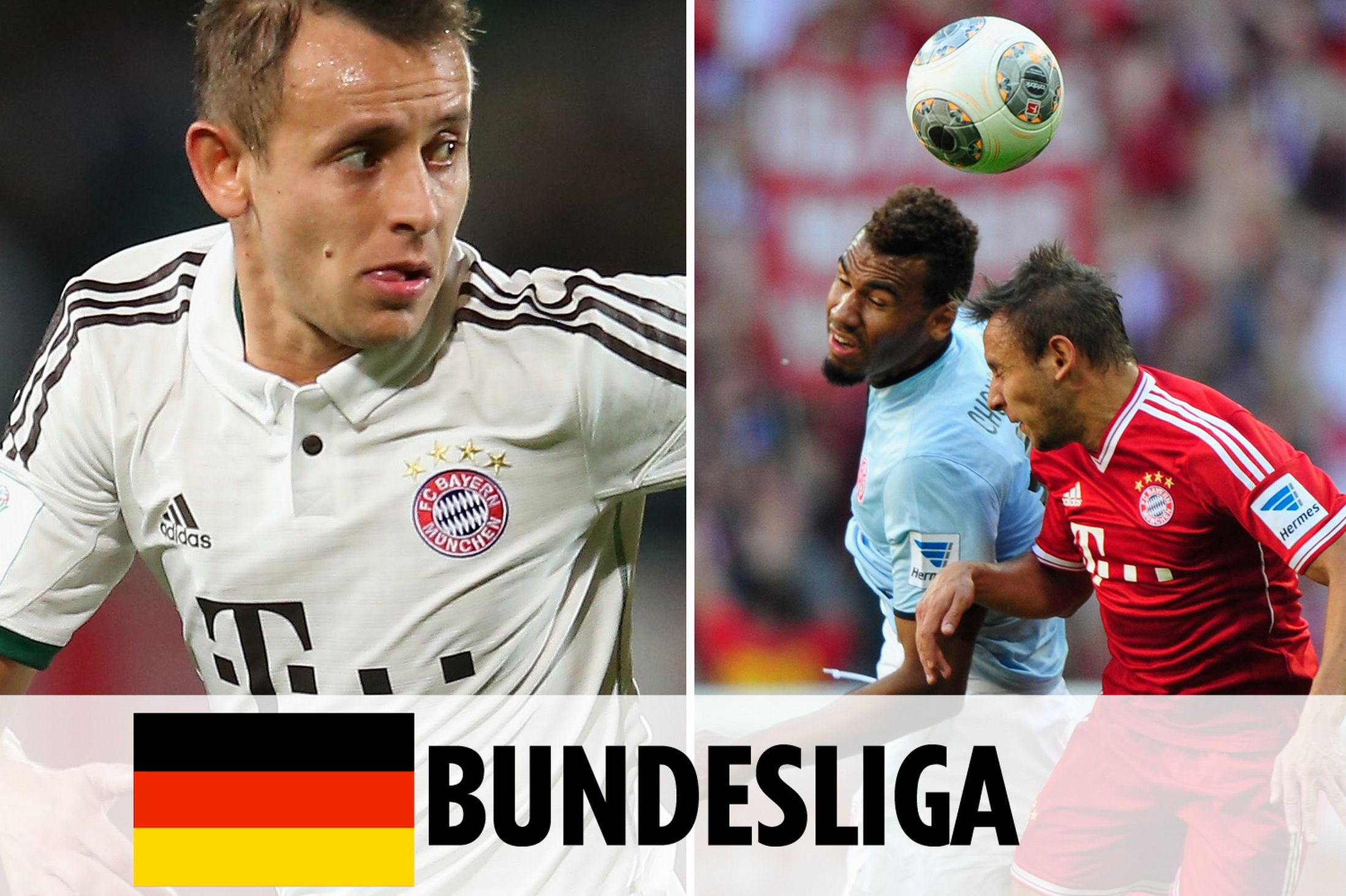 森林狼补强 森林狼补强