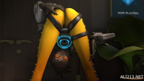 在于猛龙的 在于猛龙的